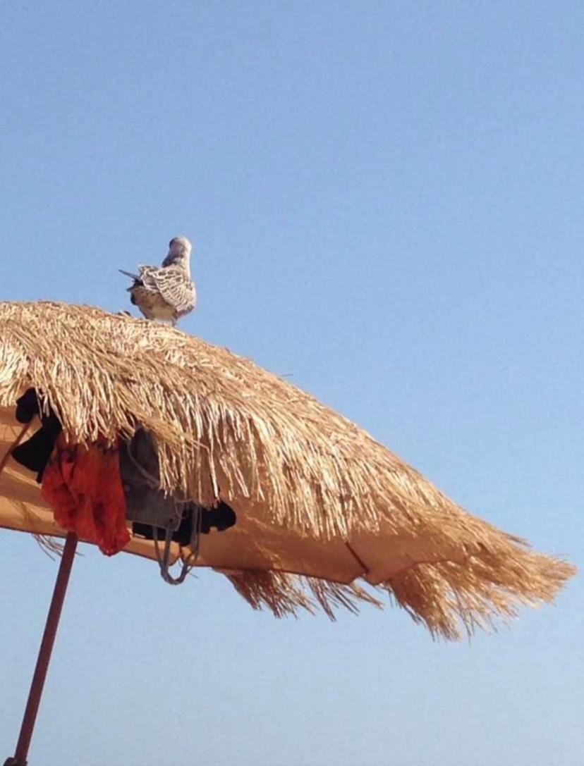 Apartamento Dentro Da Marina De فيلامورا المظهر الخارجي الصورة